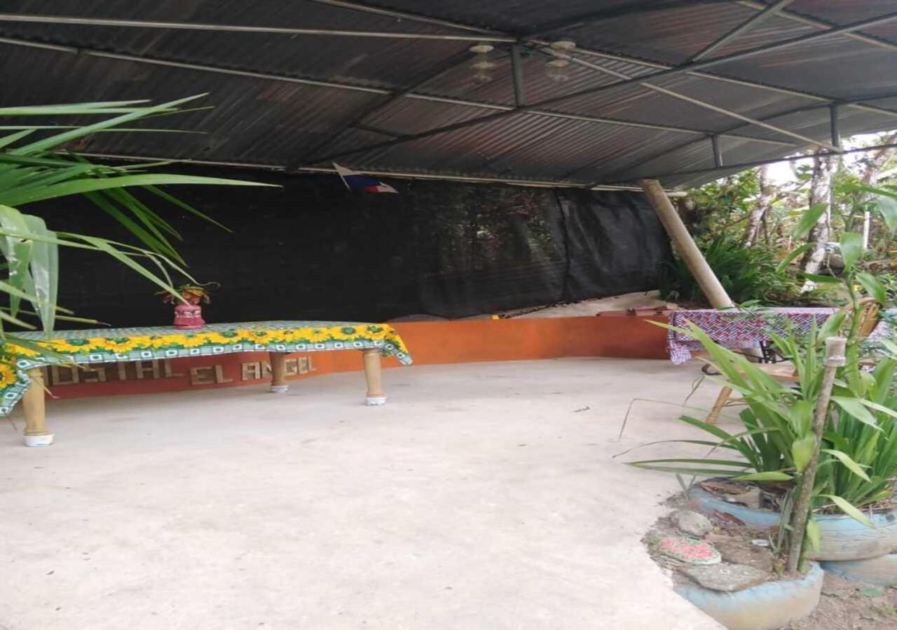 Hostal Familiar El Angel Panama B&B Pajonal Arriba 外观 照片