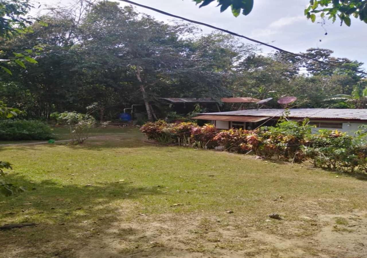 Hostal Familiar El Angel Panama B&B Pajonal Arriba 外观 照片