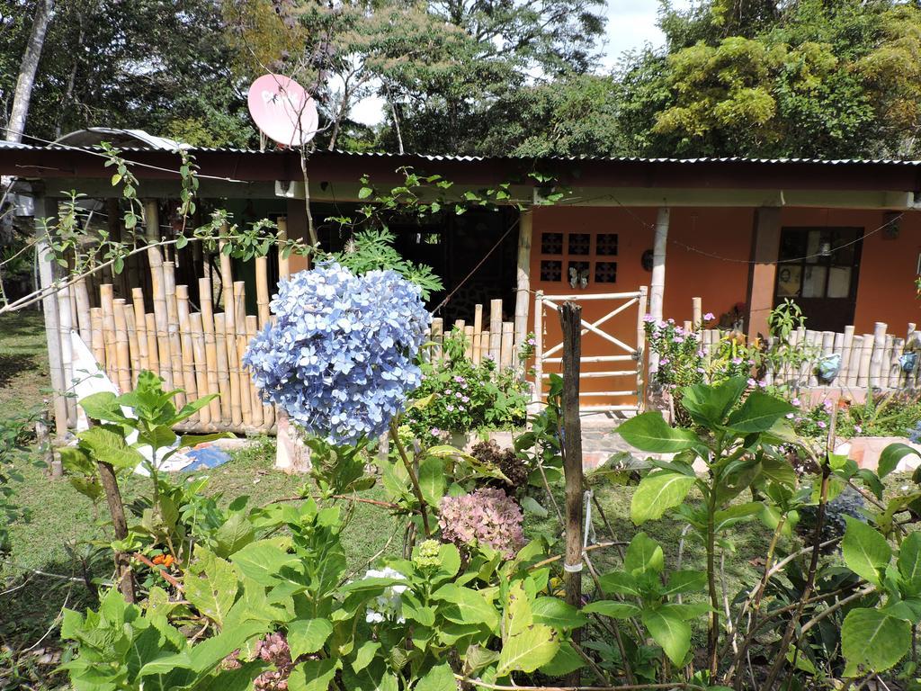 Hostal Familiar El Angel Panama B&B Pajonal Arriba 外观 照片
