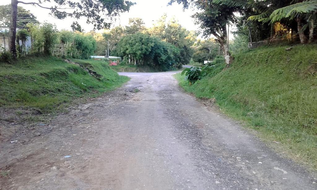 Hostal Familiar El Angel Panama B&B Pajonal Arriba 外观 照片