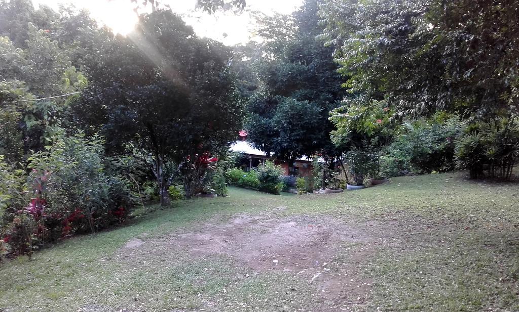 Hostal Familiar El Angel Panama B&B Pajonal Arriba 外观 照片