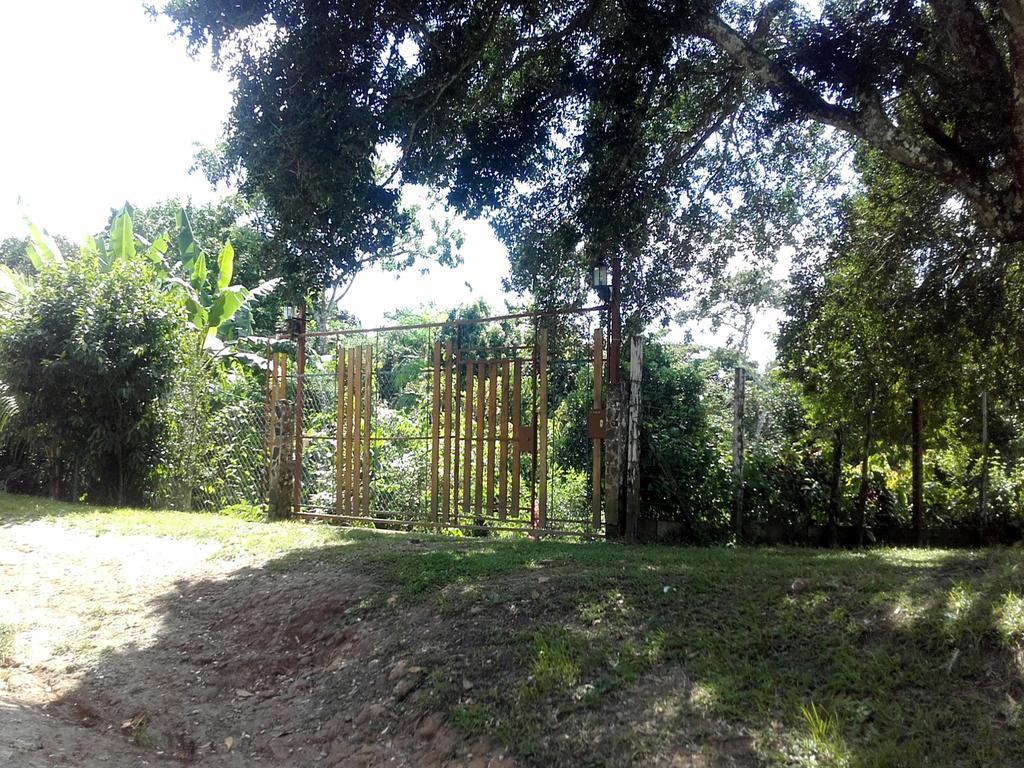 Hostal Familiar El Angel Panama B&B Pajonal Arriba 外观 照片